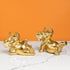 Trunked Treasures Home Decoration Showpiece and Home Decoration Items - Set of 2